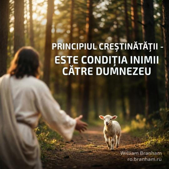 Картинка цитаты