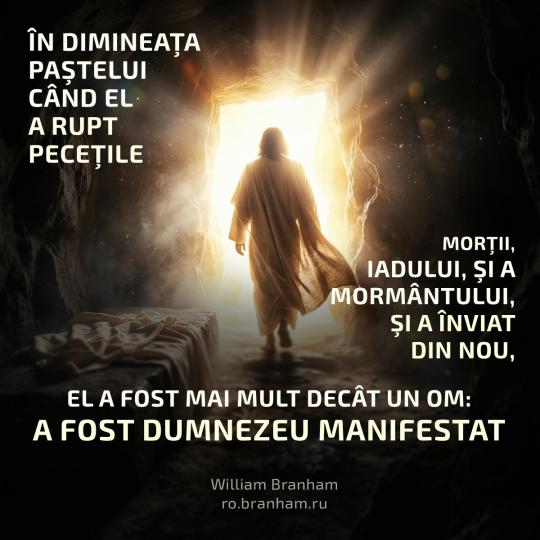 Картинка цитаты