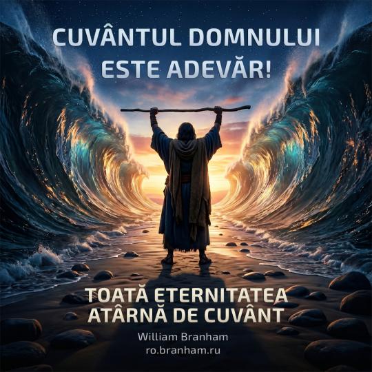 Картинка цитаты
