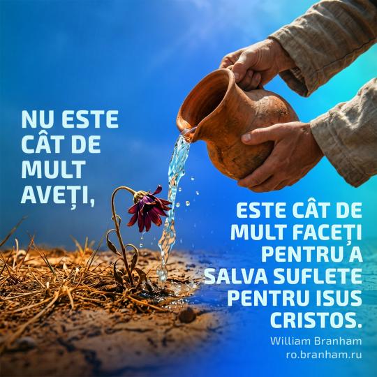 Картинка цитаты