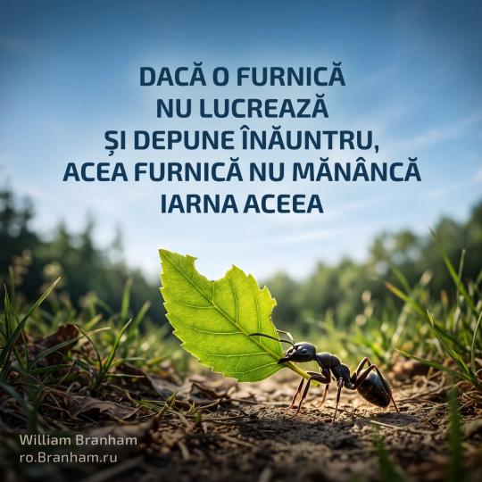 Картинка цитаты