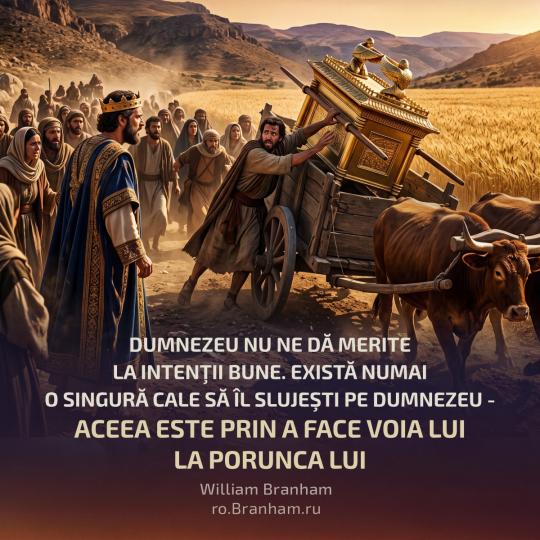 Картинка цитаты